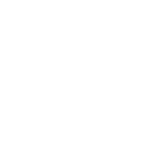 Company 2